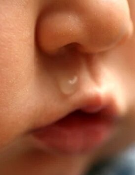 Runny Nose and Sneezing